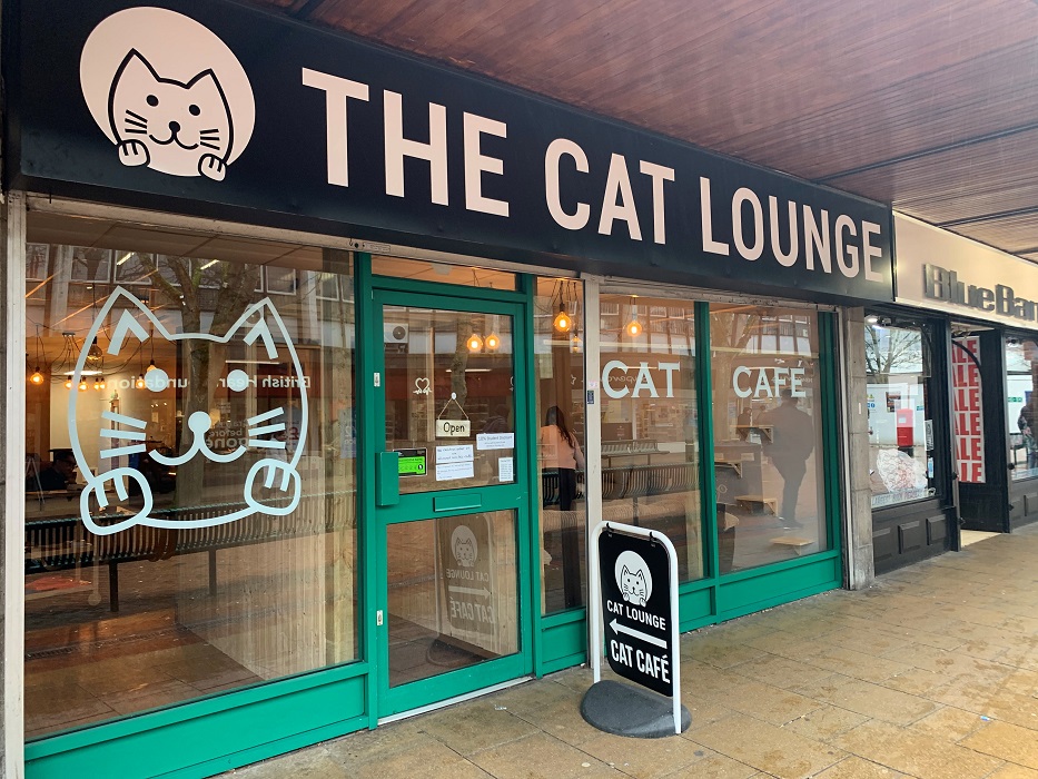The Cat Lounge Coventry Bid The Cat Lounge Coventry Bid